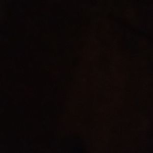 Meet your Posher, Joey